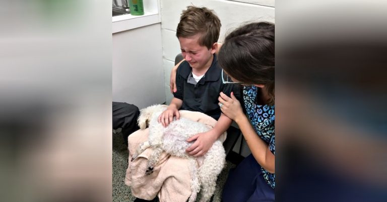 Adopted Boy Tells Mom He Wants To Hold Their Dying Dog As She Goes To Heaven