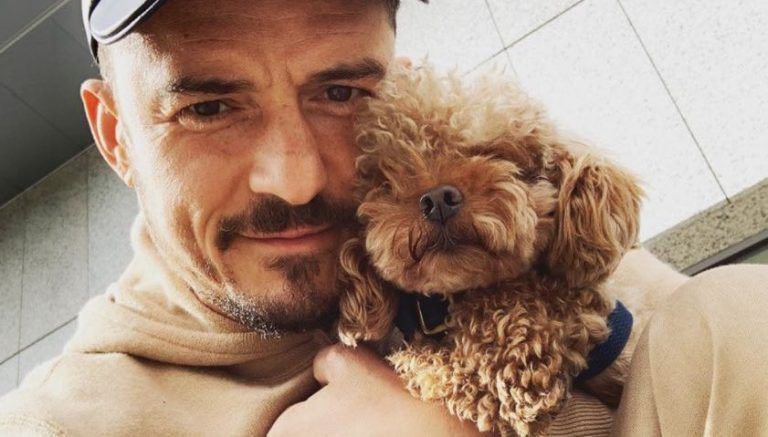 Orlando Bloom Mourns Loss of Beloved Dog ‘Mighty’, Pays Tribute With New Tattoo