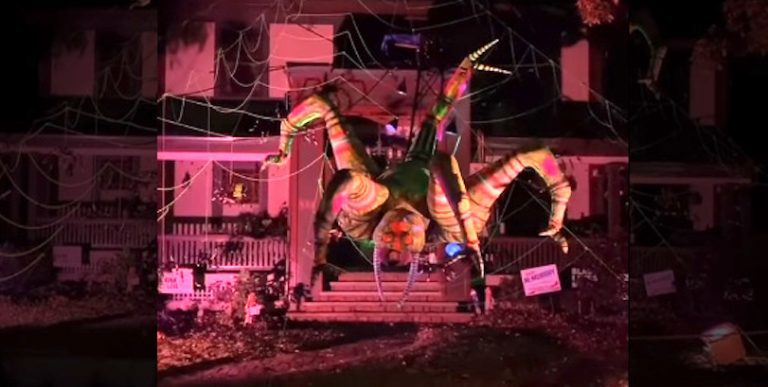 Toy Engineer Builds Huge Crawling Spider To Spook Trick Or Treaters