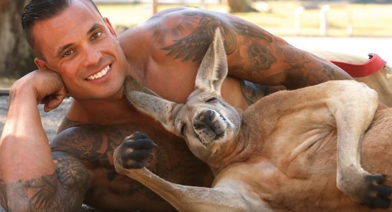 Australian Firefighters Help Animals Ravaged By Wildfires In This Year’s Charity Calendars