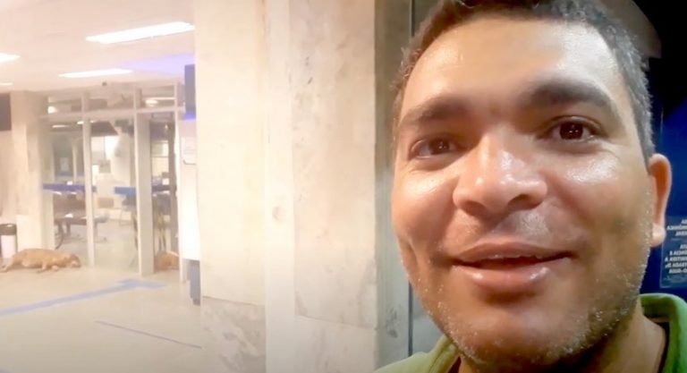 Stray Dog And His Friends Take Refuge Inside Bank To Escape Heatwave