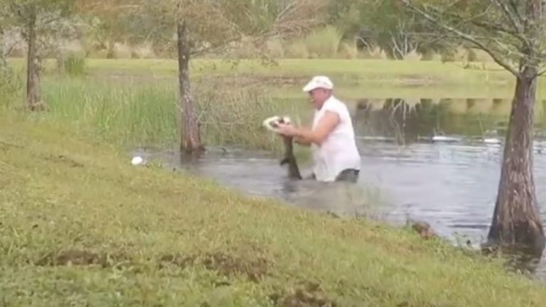 Man Pries Open Alligator’s Jaws To Save Dog In Its Clutches