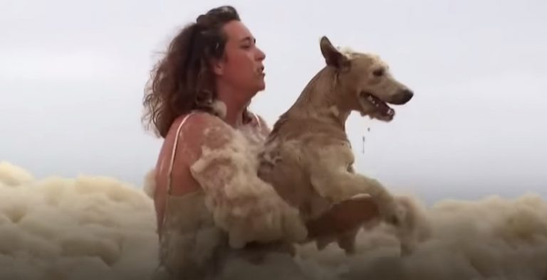 Woman Rescues Her Dog From Freak Sea Foam That Blankets Beach