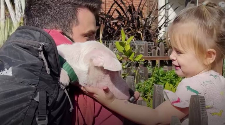 Toddler Convinces Mom To Adopt Deaf Puppy Being Fostered Next Door