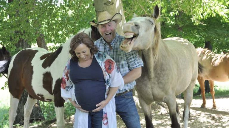 horse photobombs maternity shoot