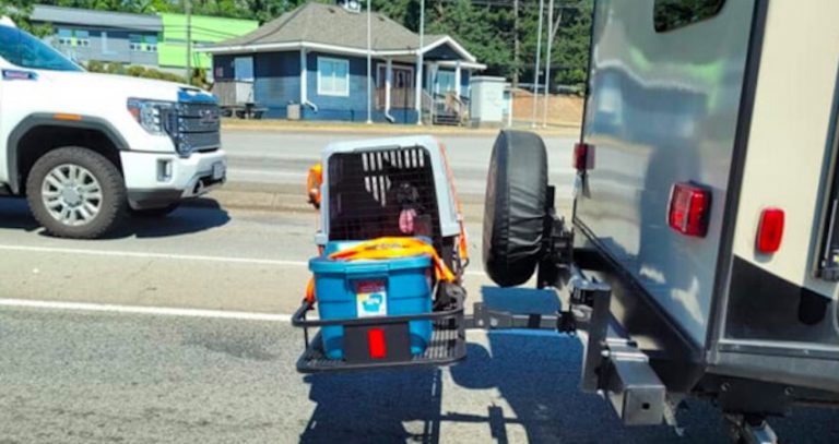 Dog in Crate Seen Attached To Rear Of RV As Scorching Heat Wave Hits Canada