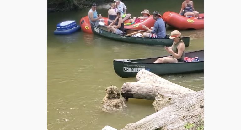 Couple Canoeing On Lazy River Get A Scare