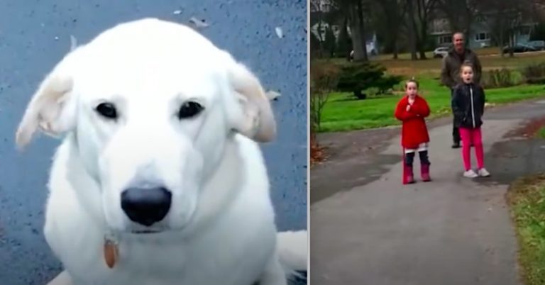Mom Secretly Adopts Dog Her Daughters Wanted To Save From Kill Shelter