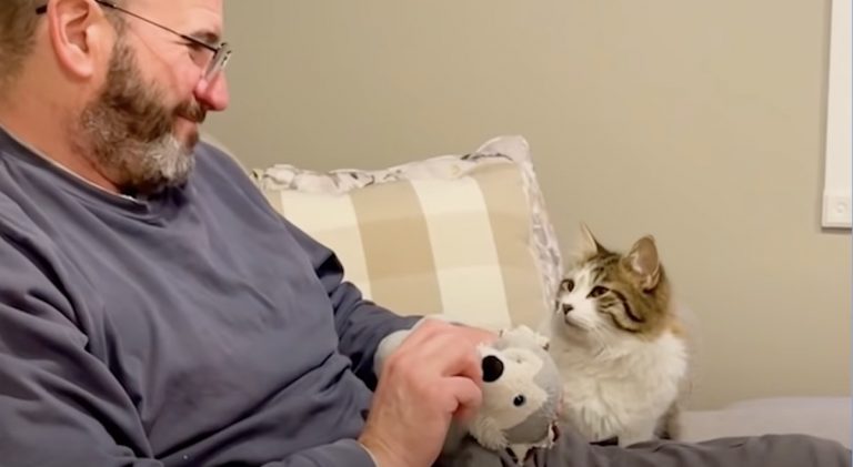 Cat Falls In Love With His ‘Dog Person’ Dad Much To His Mom’s Chagrin