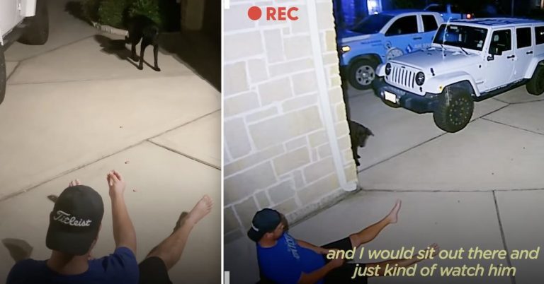 Man Sits Outside Home For Weeks To Gain Stray Dog’s Trust