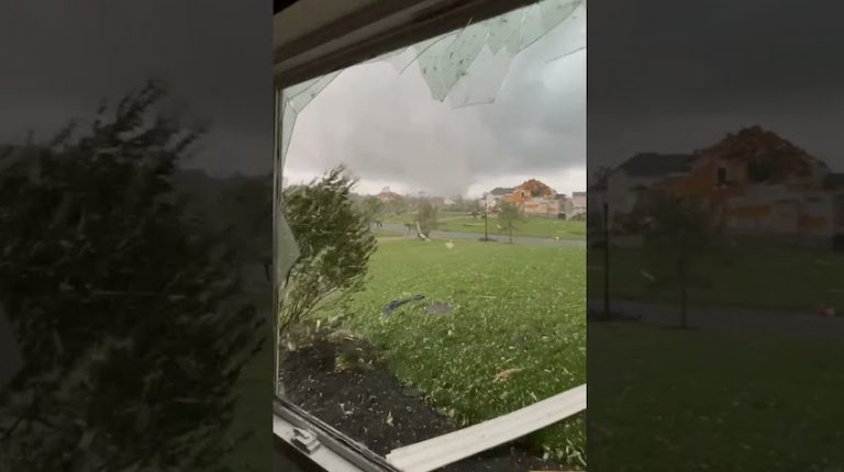 Man and Dog Make it to Safety Moments Before Tornado Hits Home in New Jersey Town
