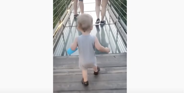 Toddler Attempts To Cross Glass Bridge But Makes Up His Own Mind