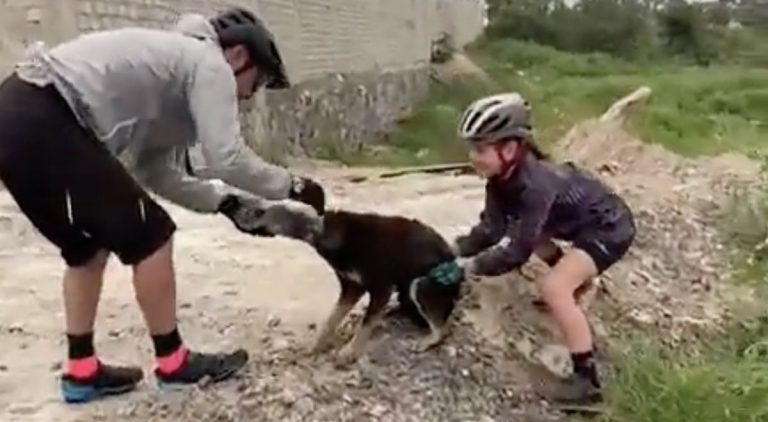 Family Out Cycling Save Young Dog With Plastic Bottle On Head