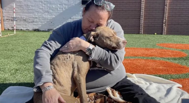 Battered Dog Found Curled Up On A Porch Just Wants To Be Held