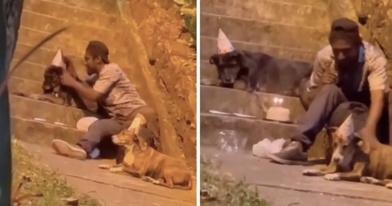 Homeless Man Throws Birthday Party For His Dogs