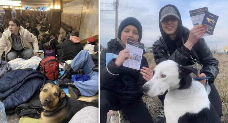 Ukrainians Fleeing With Their Pets Finding Help From Neighboring Countries