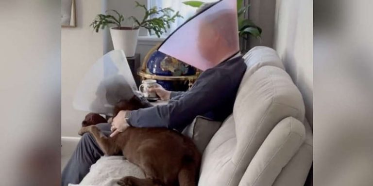 Man Puts On ‘Cone Of Shame’ To Help His Grandpup Feel Better