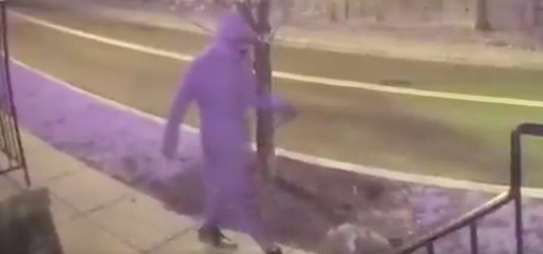 Ring Cameras Film Man Abusing Puppy, Large Reward Offered By Best-Selling Author