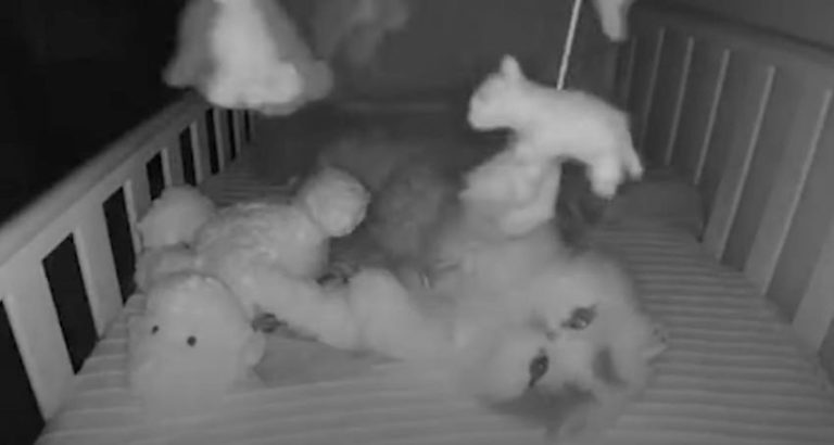 Cat Sneaks Into Baby’s Crib to Play With Mobile