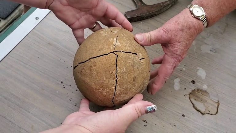 Grandma Breaks Open Sandstone Rock Hoping a Fossil is Inside