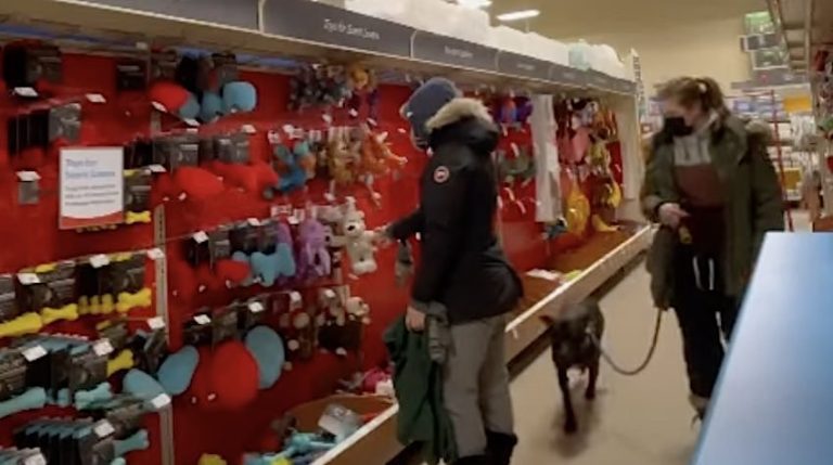 Dog Sniffs Out Family Member In Surprise Reunion