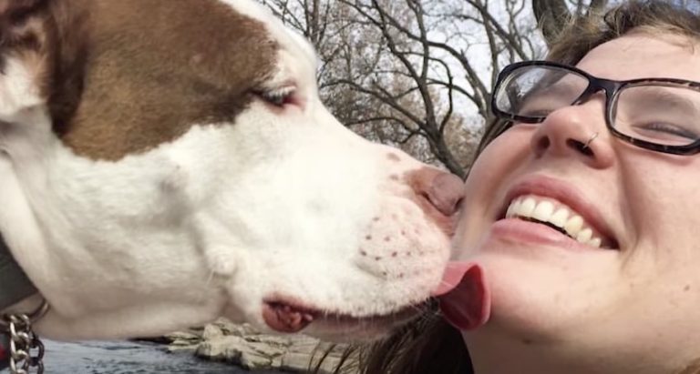Pit Bull Convinces Woman Who Saved Her From Neglect Her To Keep Her Forever
