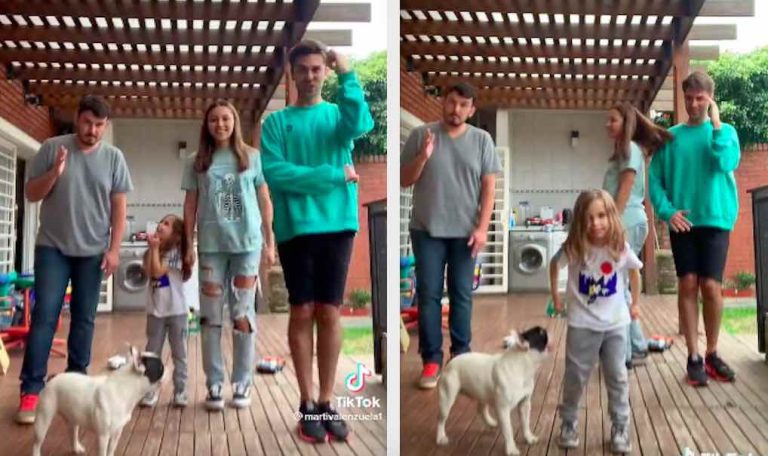 Dog Hilariously Interrupts Family’s Tiktok Dance Challenge