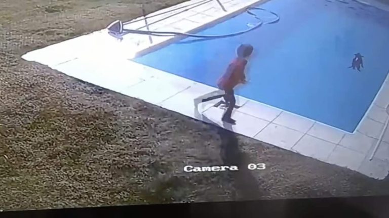 Young Boy Saves Puppy From Drowning In Swimming Pool