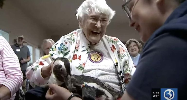 104-year-old meets penguin