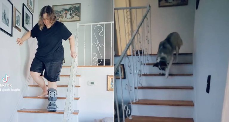 dog copies mom on stairs