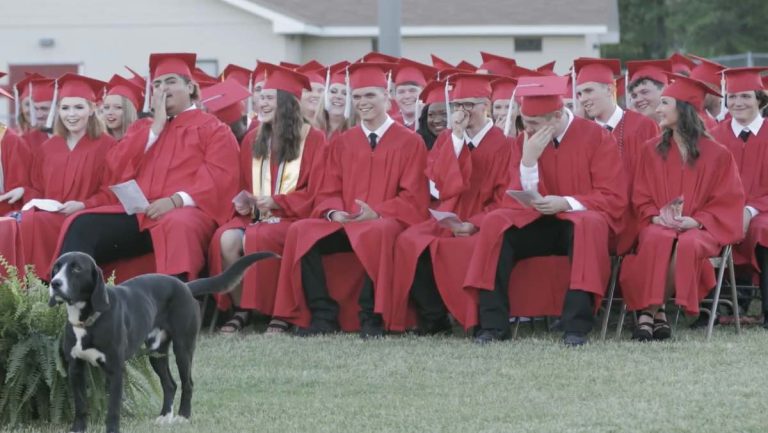 dog interrupts grad ceremony