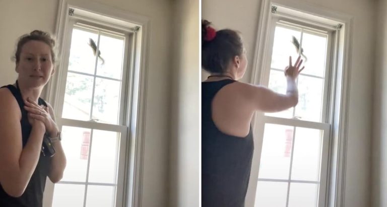 Woman tries to rescue chipmunk