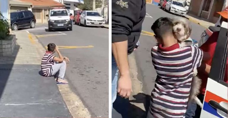 boy reunites with lost dog