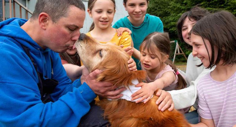 Blind Dog Reunites With Family After Missing In Alaska For Weeks