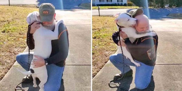 foster dog so happy to meet her dad