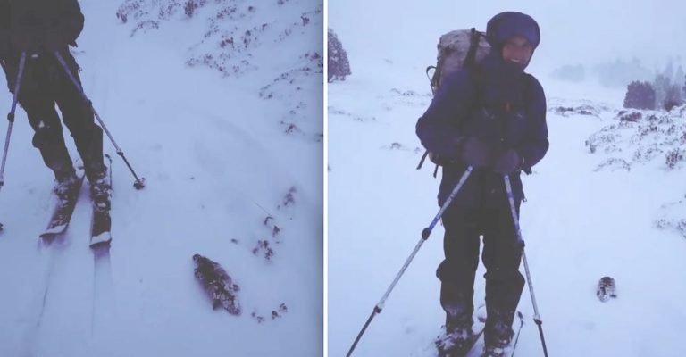platypus slides in snow