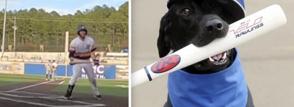player nearly steals ripken the bat dog's job