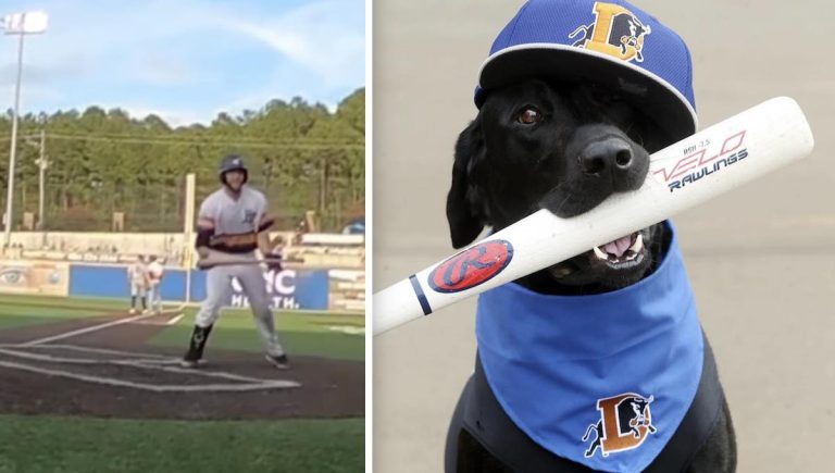 player nearly steals ripken the bat dog's job
