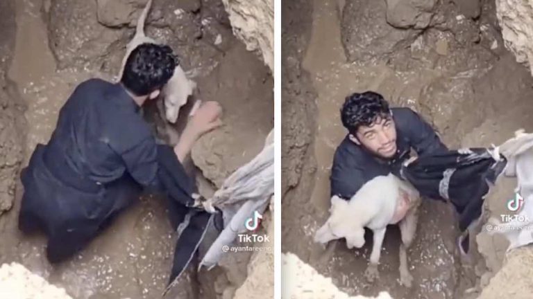 Man Risks Life To Save Dog In Sinkhole As Dangerous Floods Rage Just Meters Away