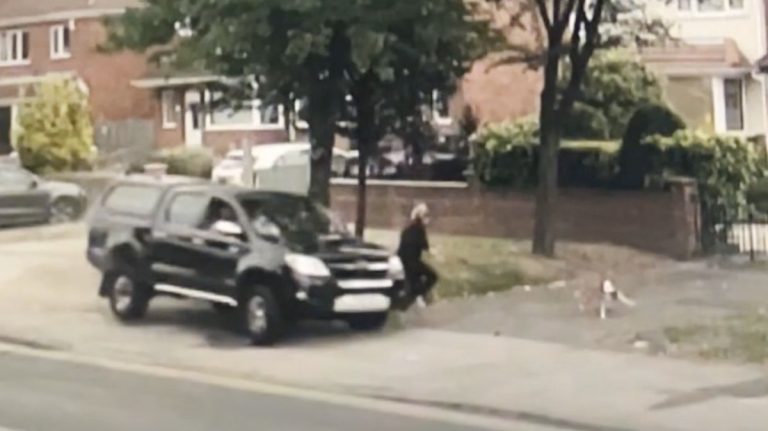 dog saves mom from speeding car