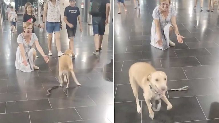 dog delighted to see his grandparents