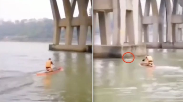 paddleboarder saves man from river