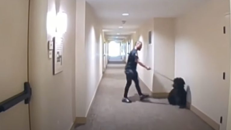 Police Pursue Man Seen Hitting Dog On Ring Camera After Video Uploaded To Social Media