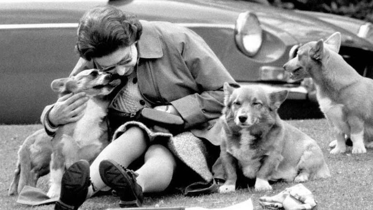 The Queen And Her Corgis – A Look Back At Queen Elizabeth II’s Love Of Dogs