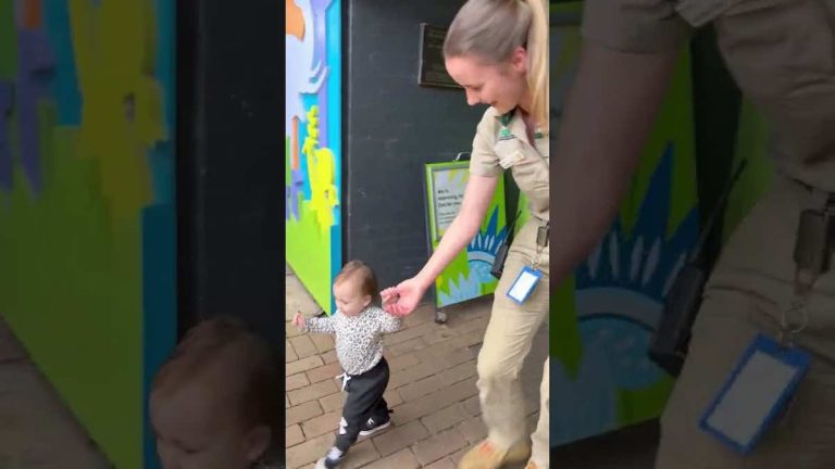 Little Girl Uses Her Cuteness To Sneak Back Into The Zoo