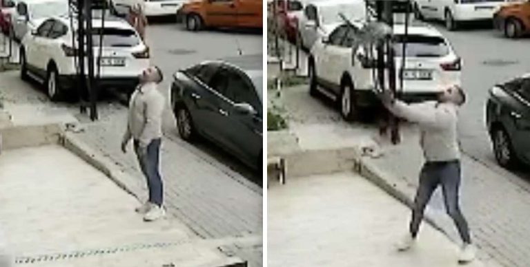 Man Heroically Catches Cat Falling From Building