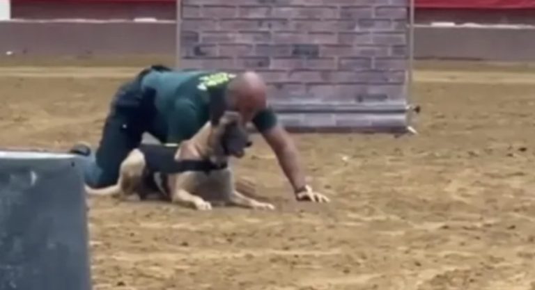 Spanish police dog with handler