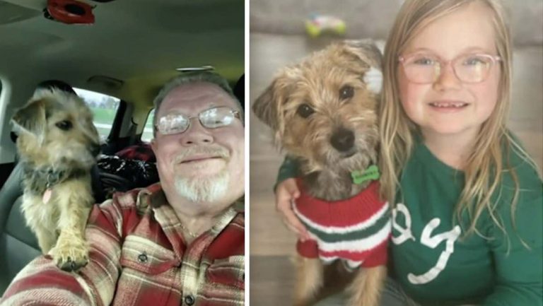 Grandpa Drives Over 1000 Miles To Surprise Grandkids With Stray Dog They Fell In Love With