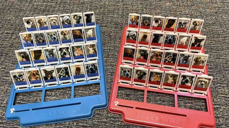 Man Makes ‘Guess Who?’ Game For His Fiancée Featuring All The Dogs They Know