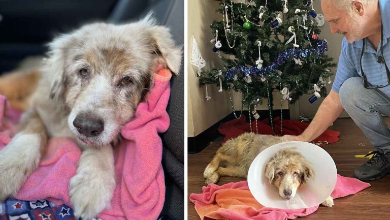 Jazzy reunites with her family